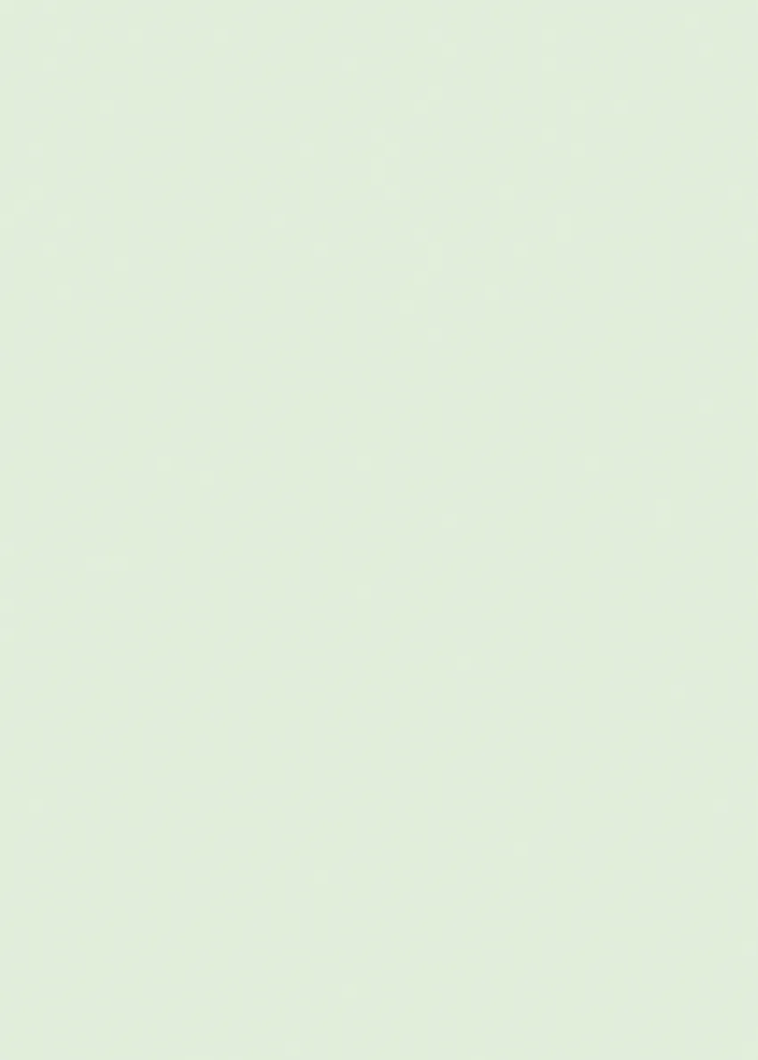215.webp