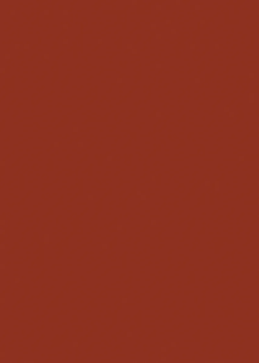 305.webp