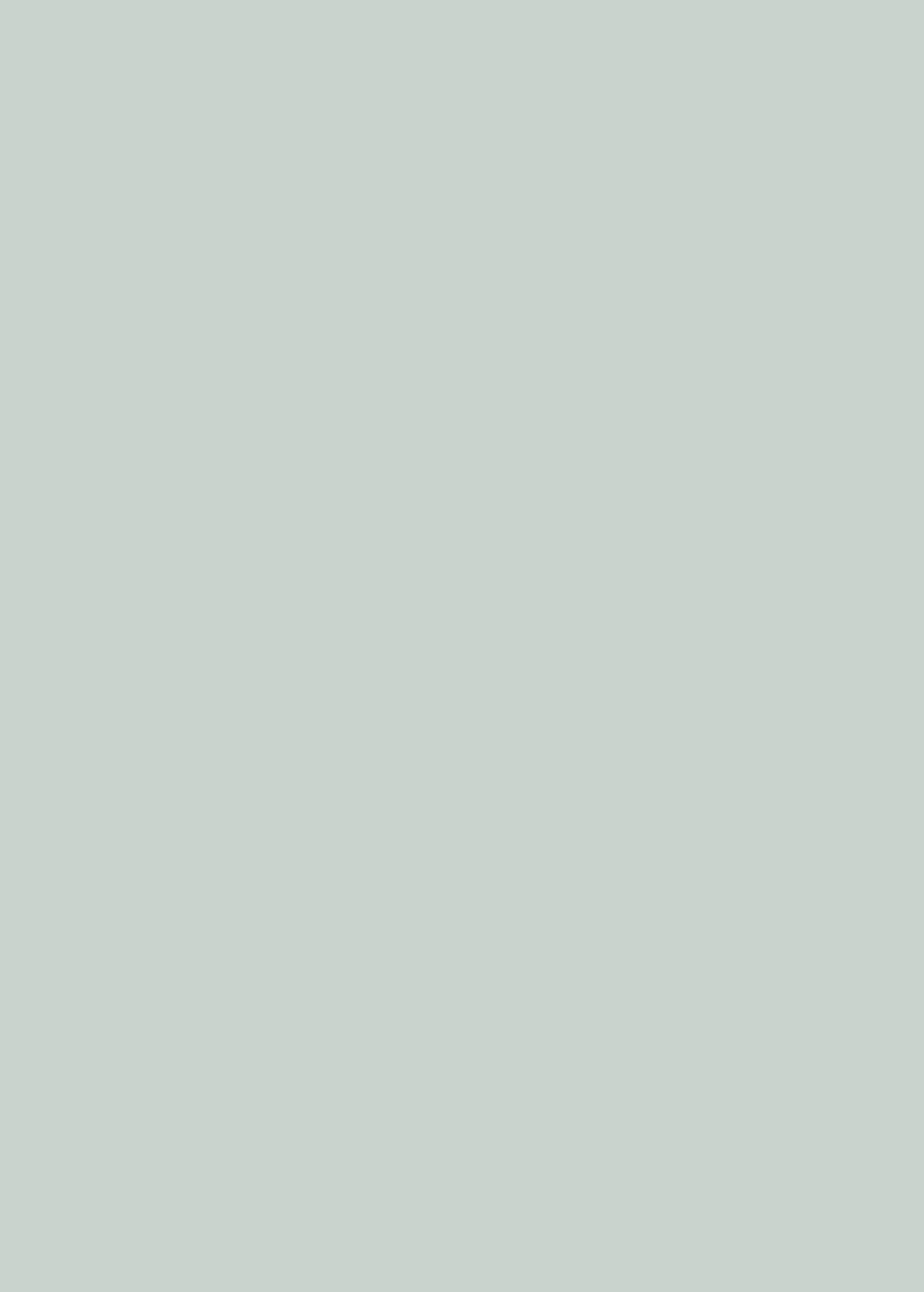 365.webp