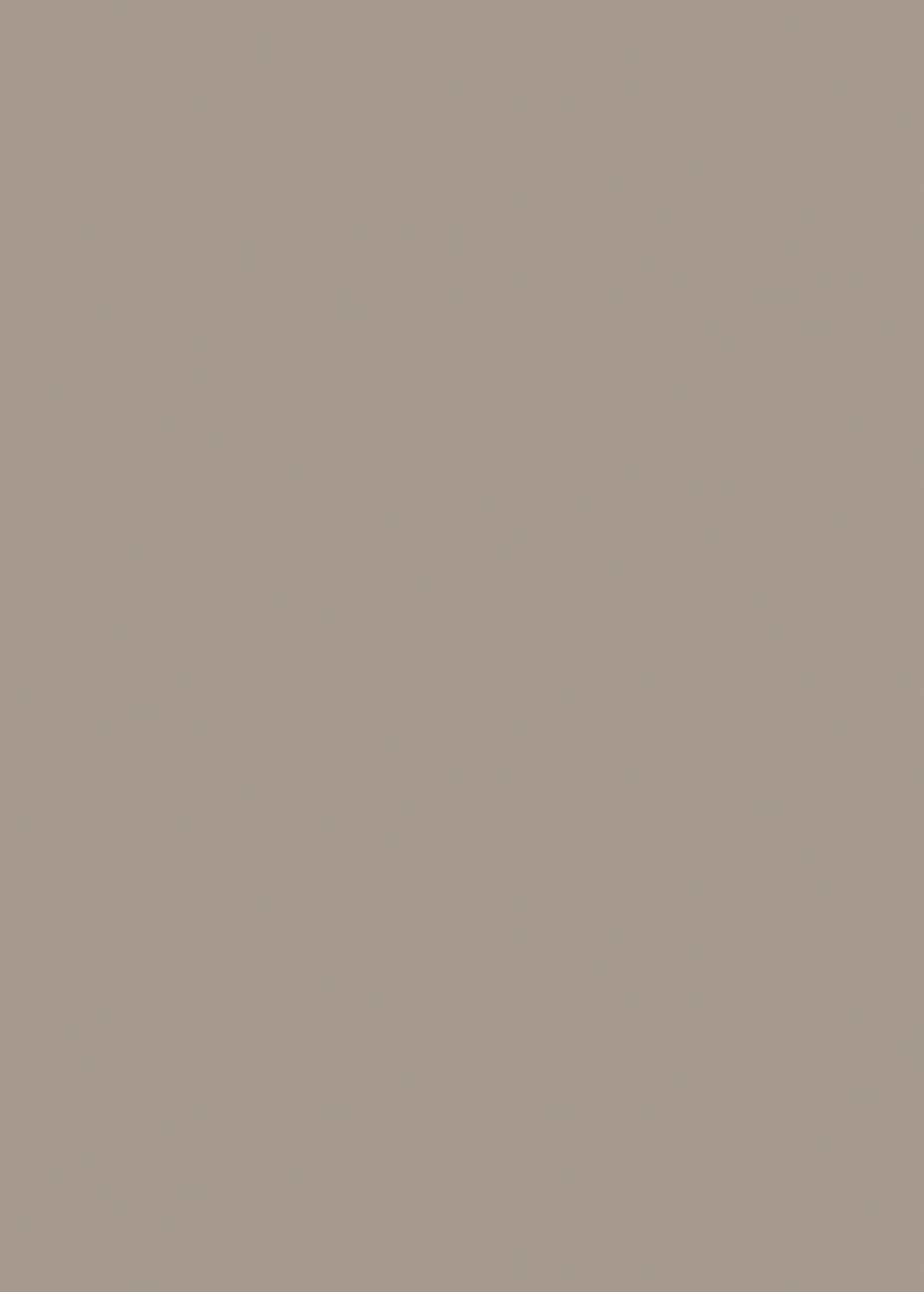 445.webp