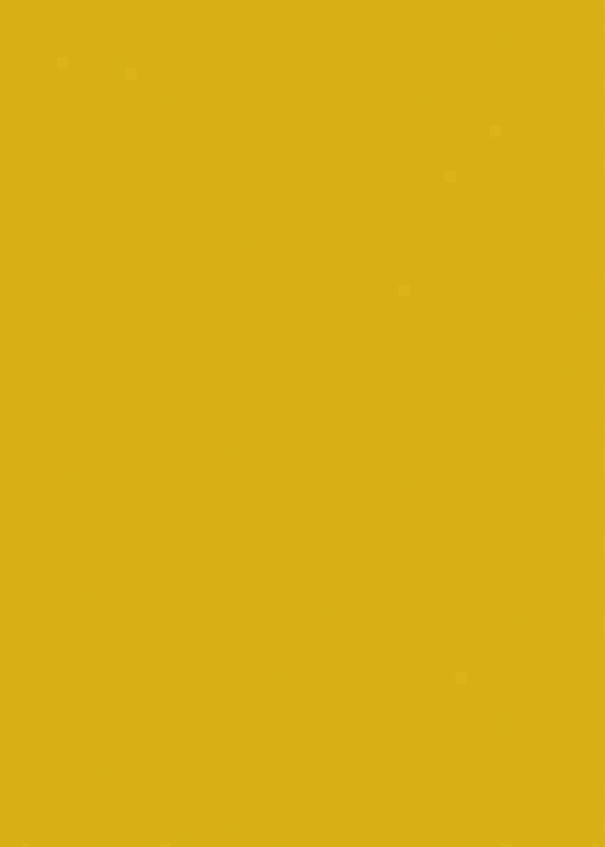 455.webp