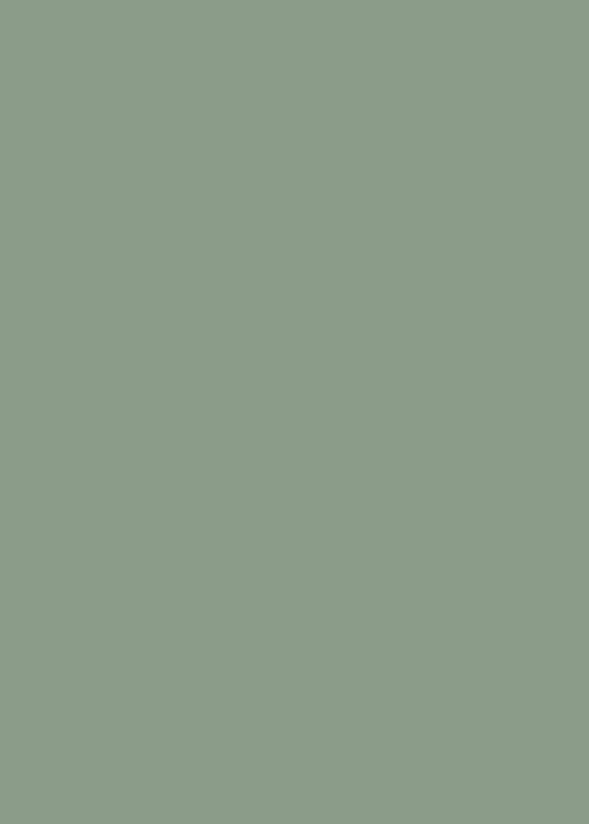 460.webp