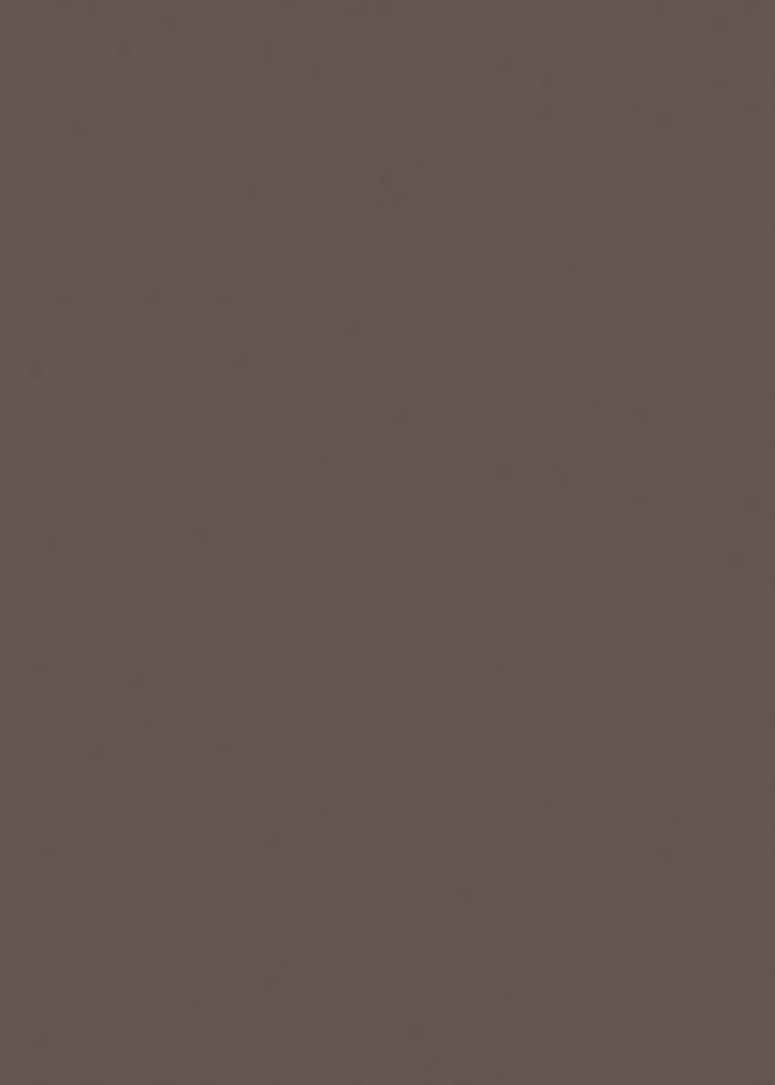 495.webp