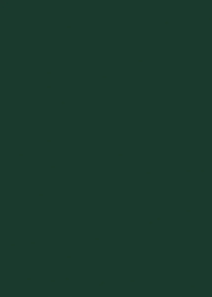 440_442.webp